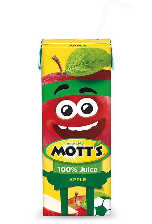Mott's 100 Original Apple Juice (Pouch)